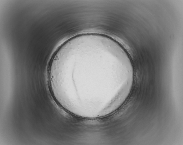 X0000110910998200907161455