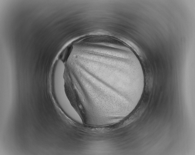 X0000110911000200907161455