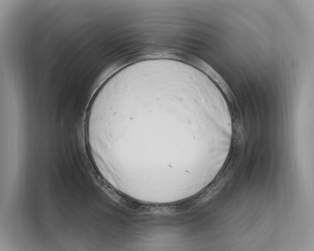 X0000110911002200907161455