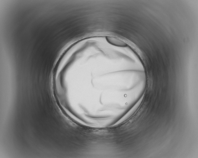 X0000110911006200907161455