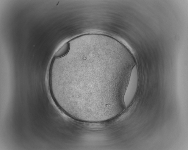 X0000110911007200907161455