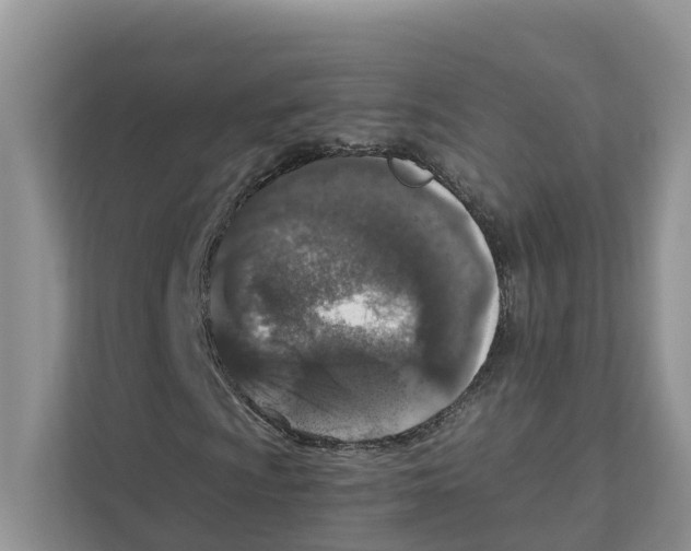 X0000110911009200907161454