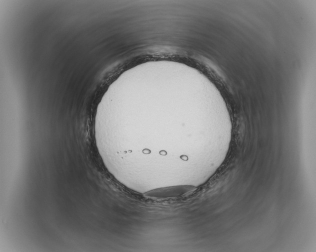 X0000110911016200907161454