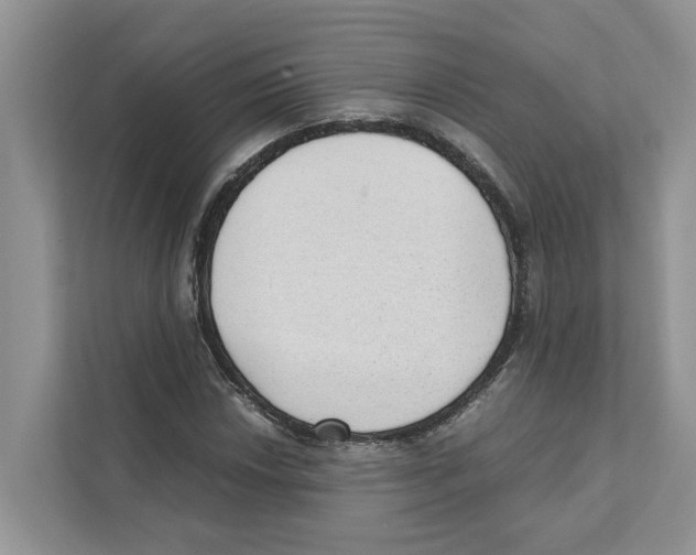 X0000110911018200907161454