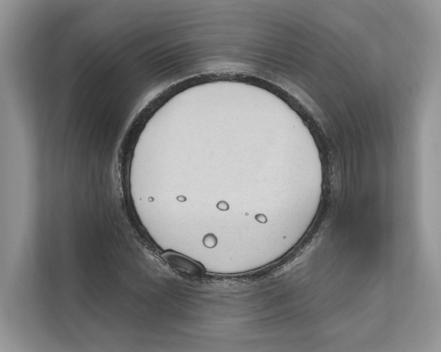 X0000110911022200907161454