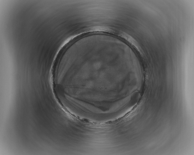 X0000110911024200907161454