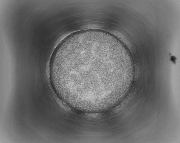 X0000110911031200907161454