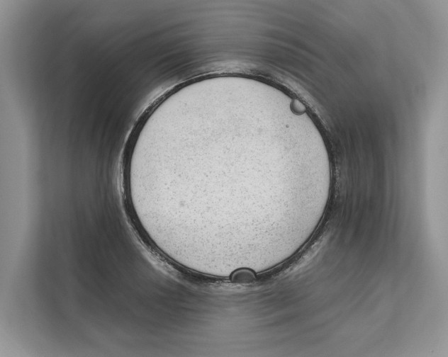 X0000110911034200907161454