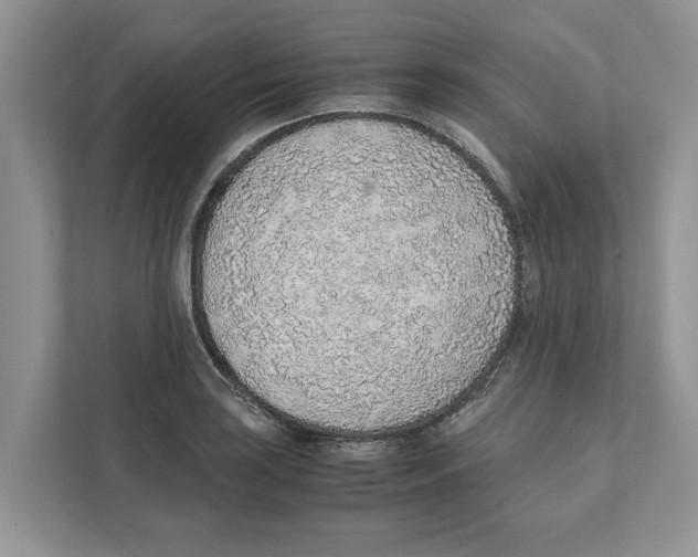 X0000110911035200907161454