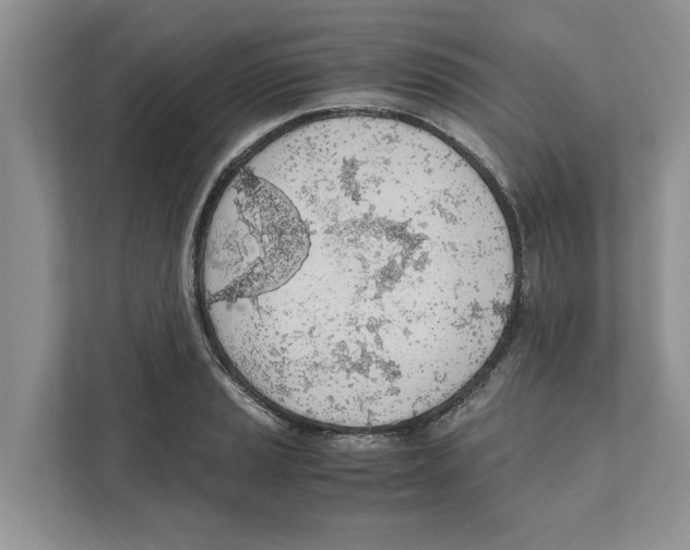 X0000110911037200907161454