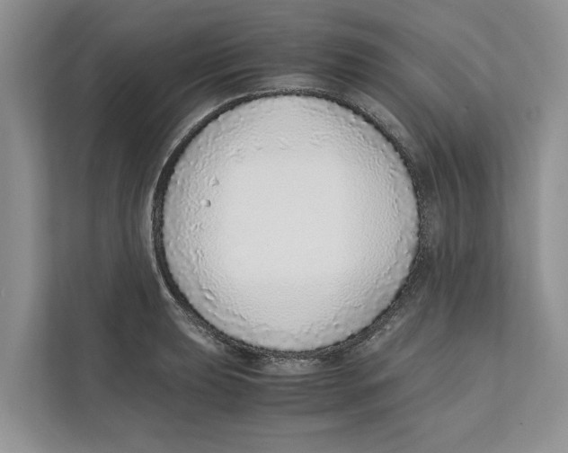 X0000110911039200907161454