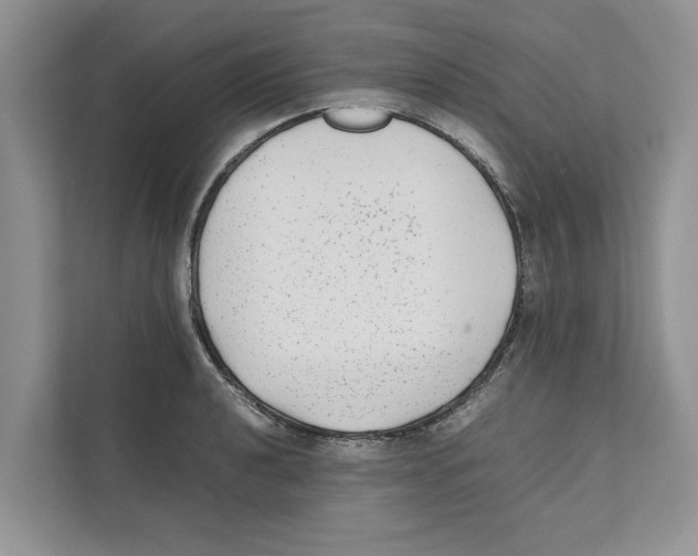 X0000110911040200907161454