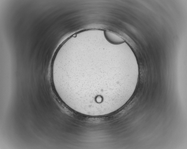 X0000110911044200907161455