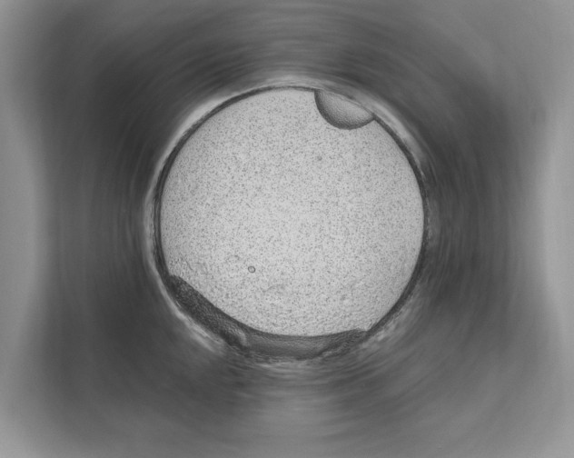 X0000110911048200907161455