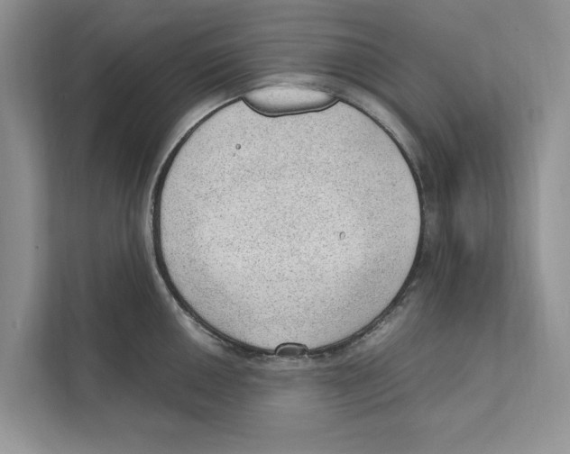 X0000110911050200907161455