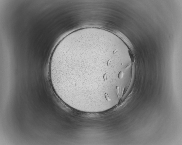 X0000110911052200907161455