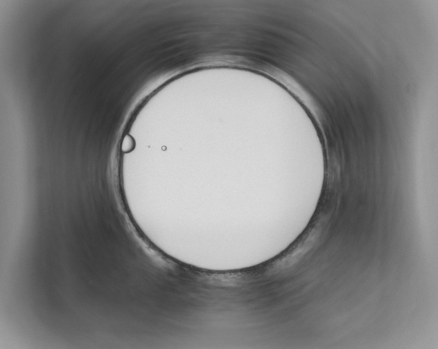 X0000110911053200907161455