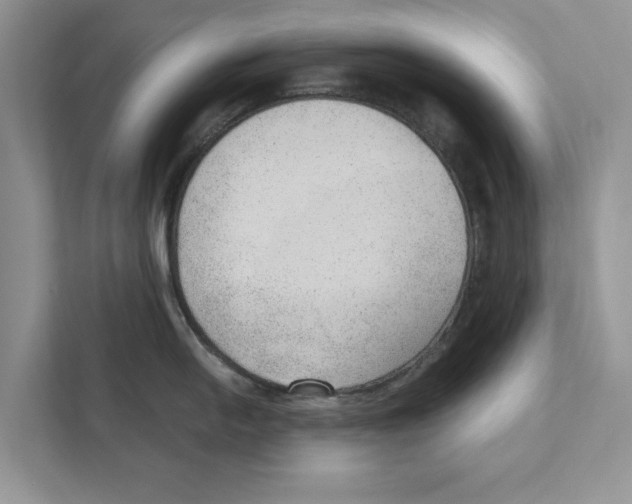 X0000110911054200907161455