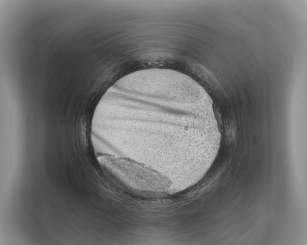 X0000110911060200907161454