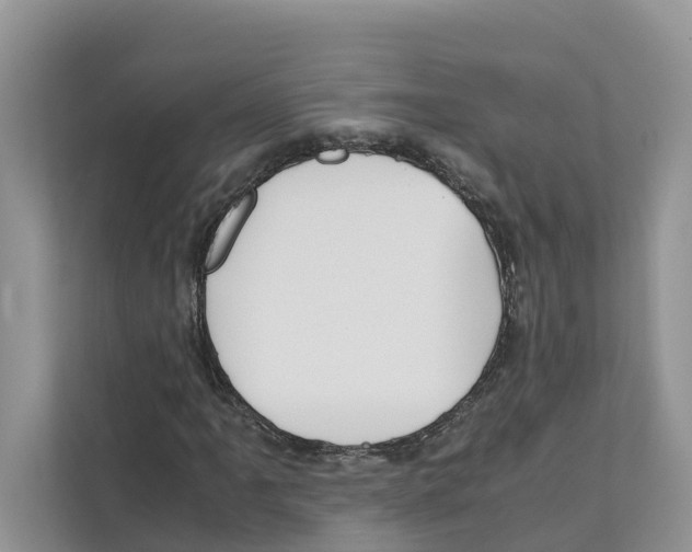 X0000110911061200907161454