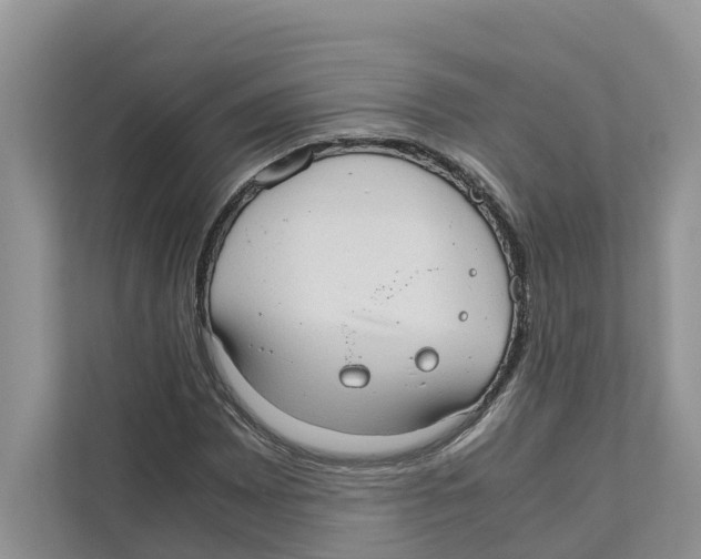 X0000110911065200907161454