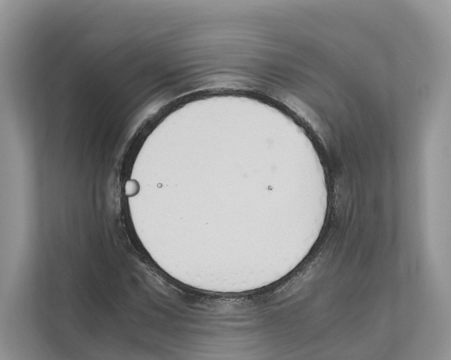 X0000110911067200907161454