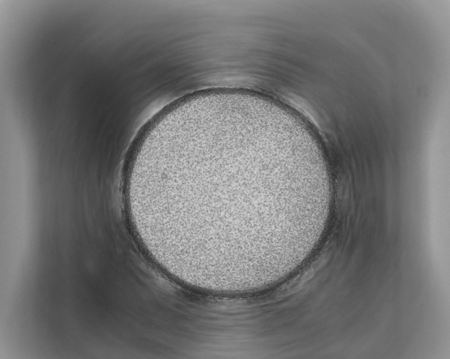 X0000110911071200907161454