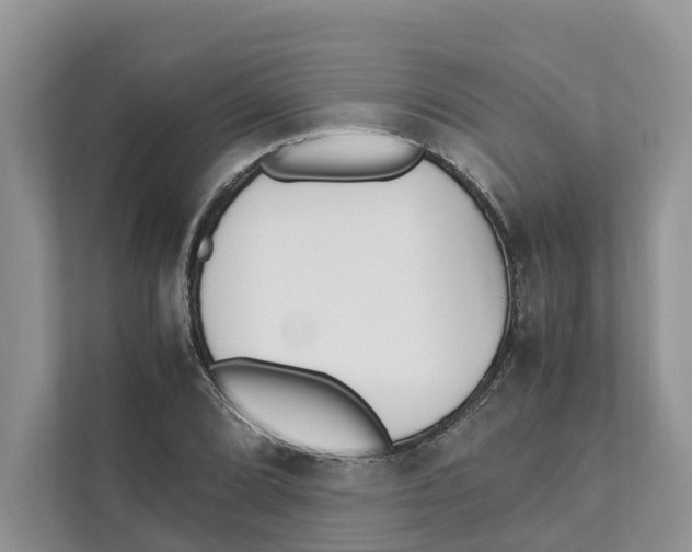 X0000110911072200907161454