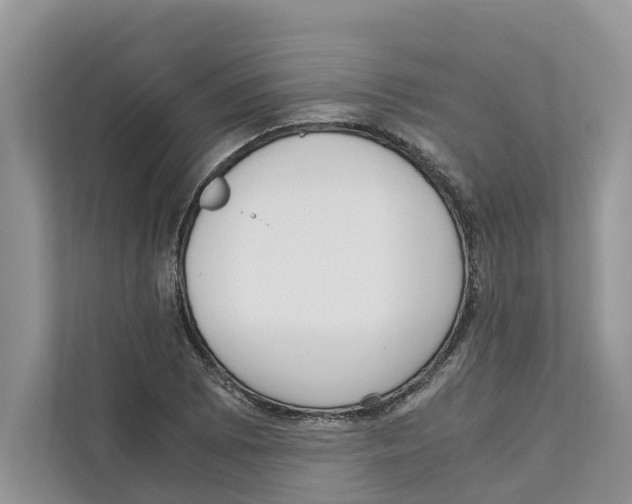 X0000110911073200907161454