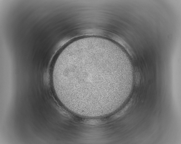 X0000110911074200907161454