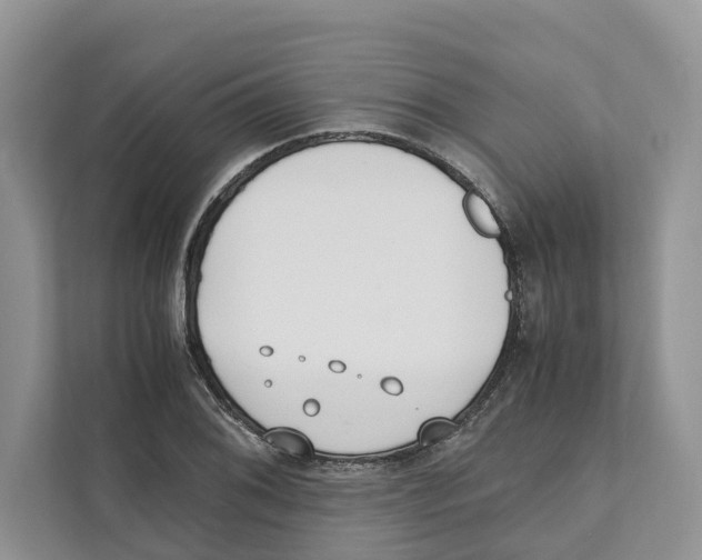 X0000110911076200907161454