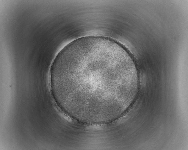 X0000110911078200907161454