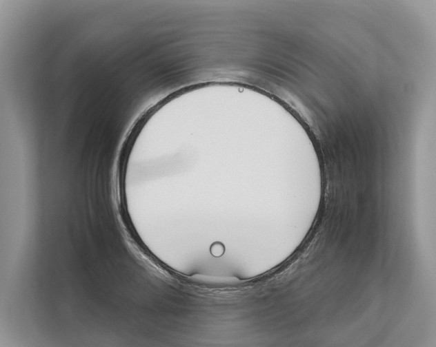 X0000110911080200907161454