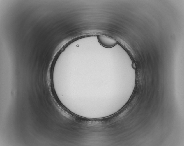 X0000110911082200907161454