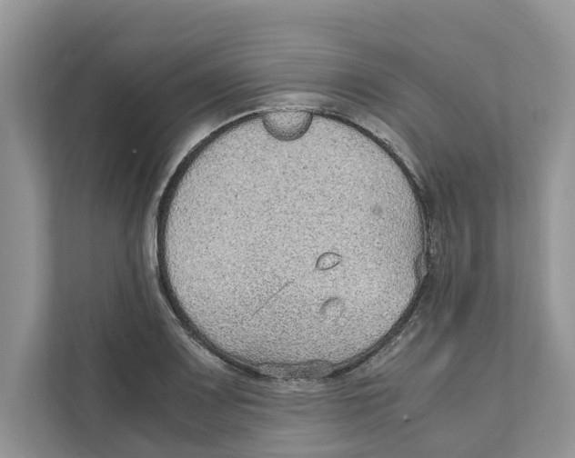 X0000110911083200907161454