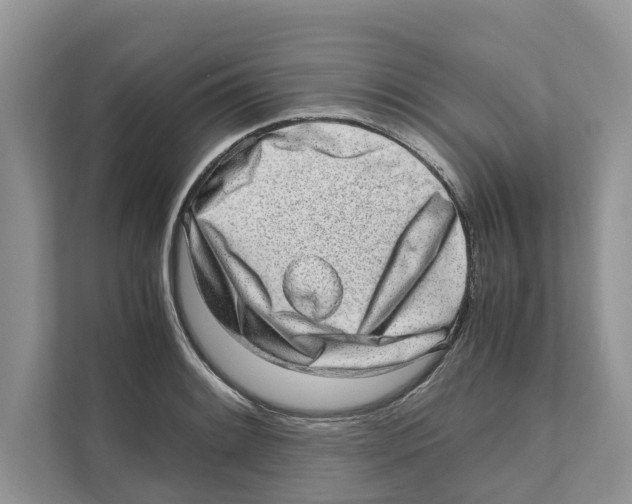 X0000110911084200907161454