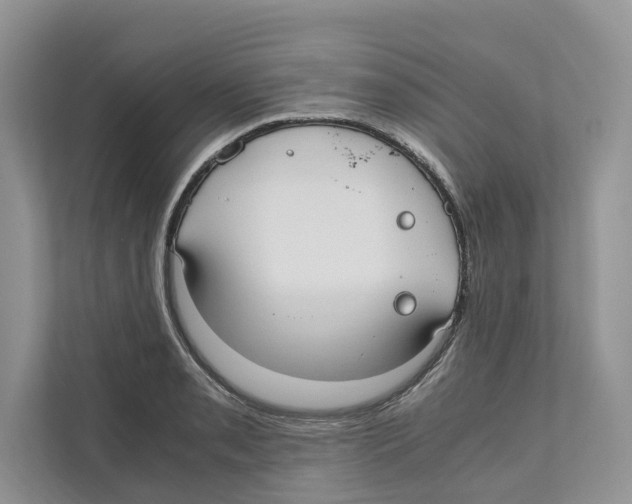 X0000110911085200907161454