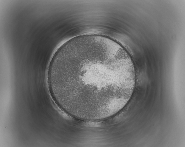 X0000110911086200907161454