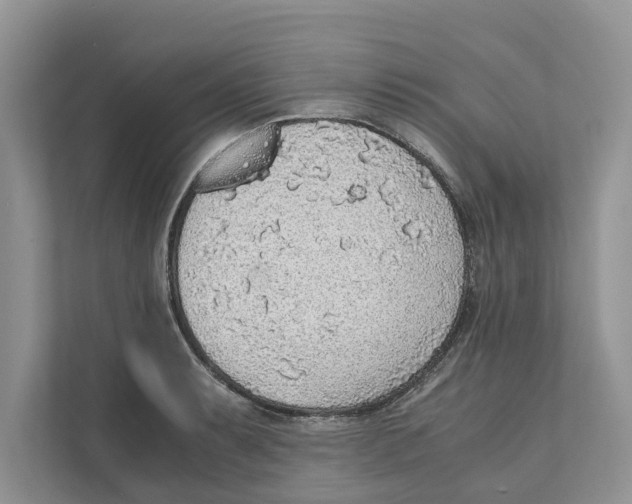 X0000110911087200907161454