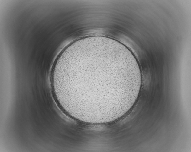 X0000110911090200907161454