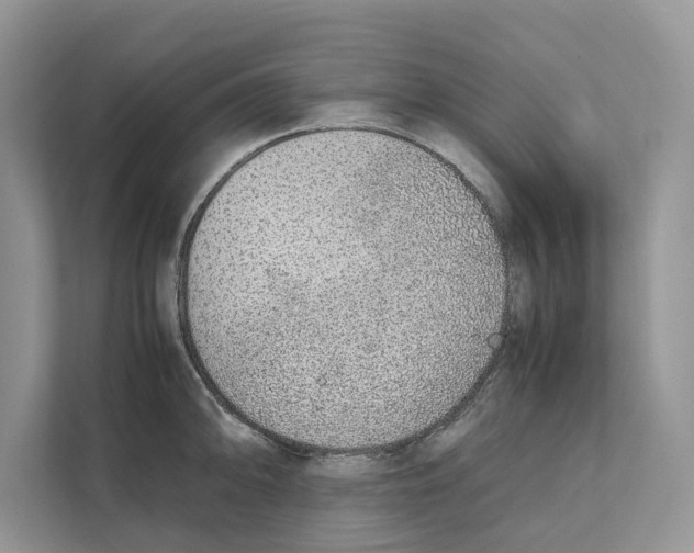 X0000110911094200907161454