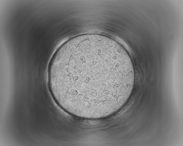 X0000110911095200907161454