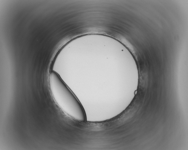 X0000110911096200907161454