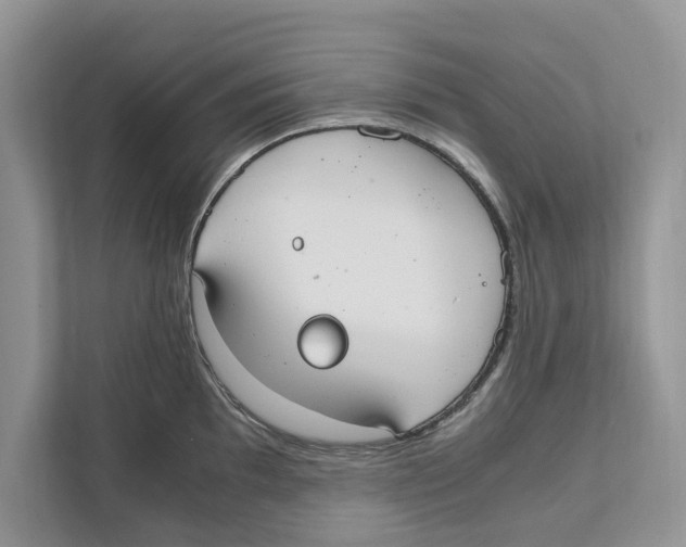 X0000110911097200907161454