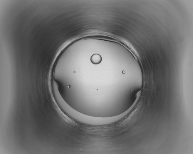 X0000110911098200907161454