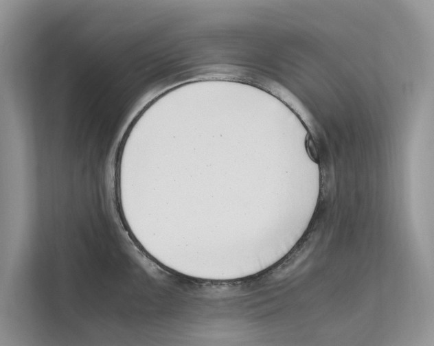 X0000110911099200907161454