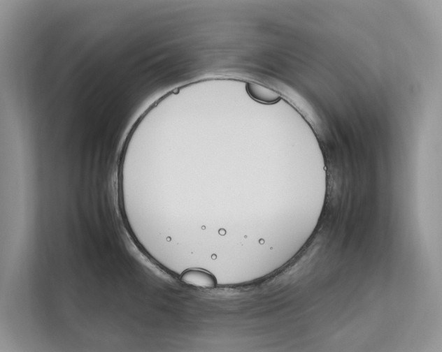 X0000110911100200907161454