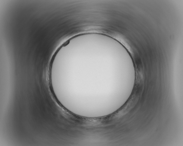 X0000110911101200907161454