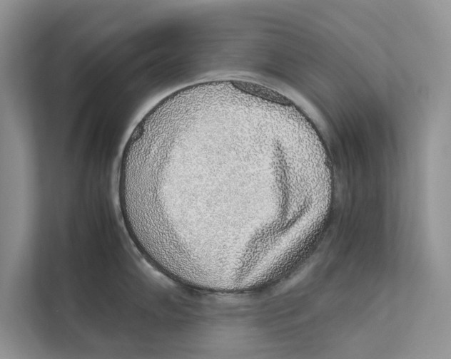 X0000110911102200907161453