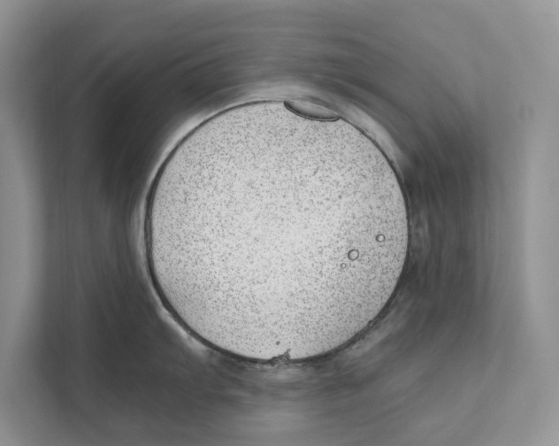 X0000110911103200907161453